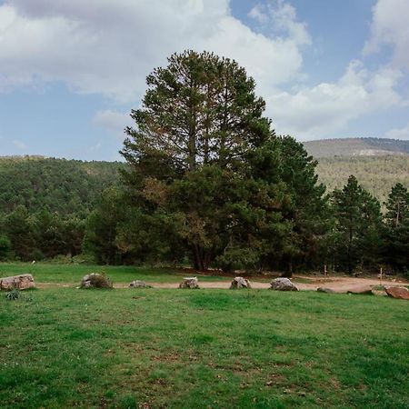 Cotanda - Casa De Montana Aislada En El Macizo Del Penyagolosa Puertomingalvo Eksteriør bilde