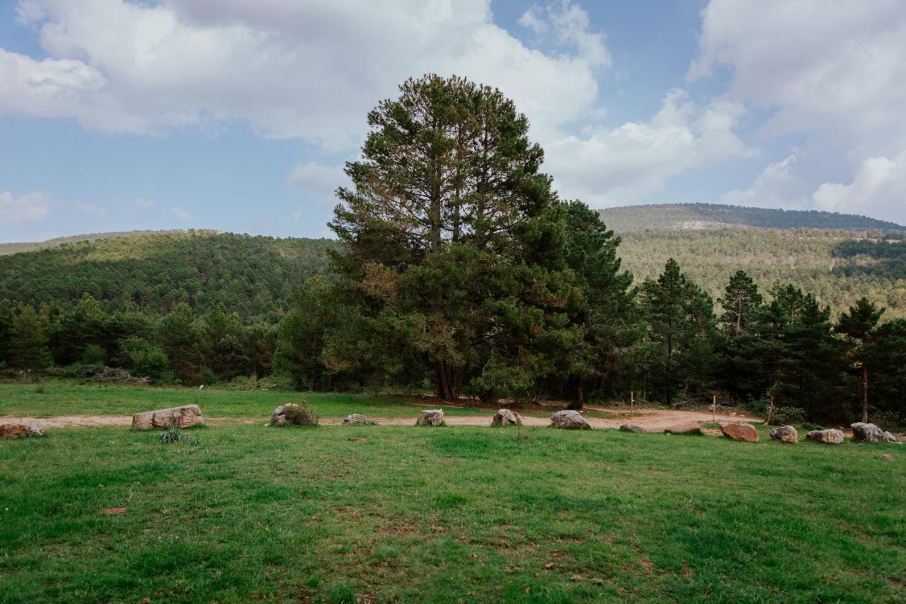 Cotanda - Casa De Montana Aislada En El Macizo Del Penyagolosa Puertomingalvo Eksteriør bilde